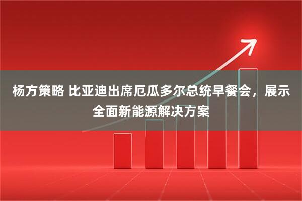 杨方策略 比亚迪出席厄瓜多尔总统早餐会，展示全面新能源解决方案